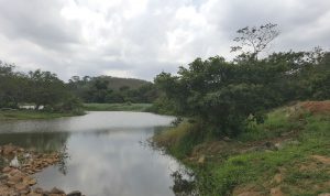 Rio Jacu ES
